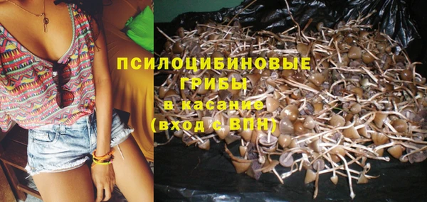 скорость Медвежьегорск