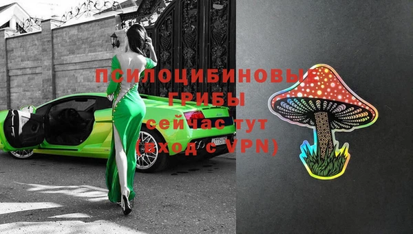 гашик Волоколамск